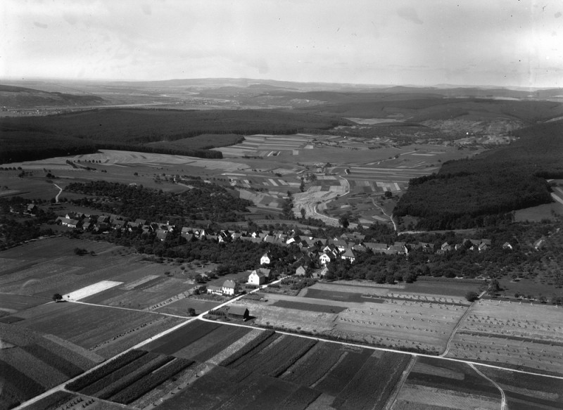 O L 0105 Mechenhard1933