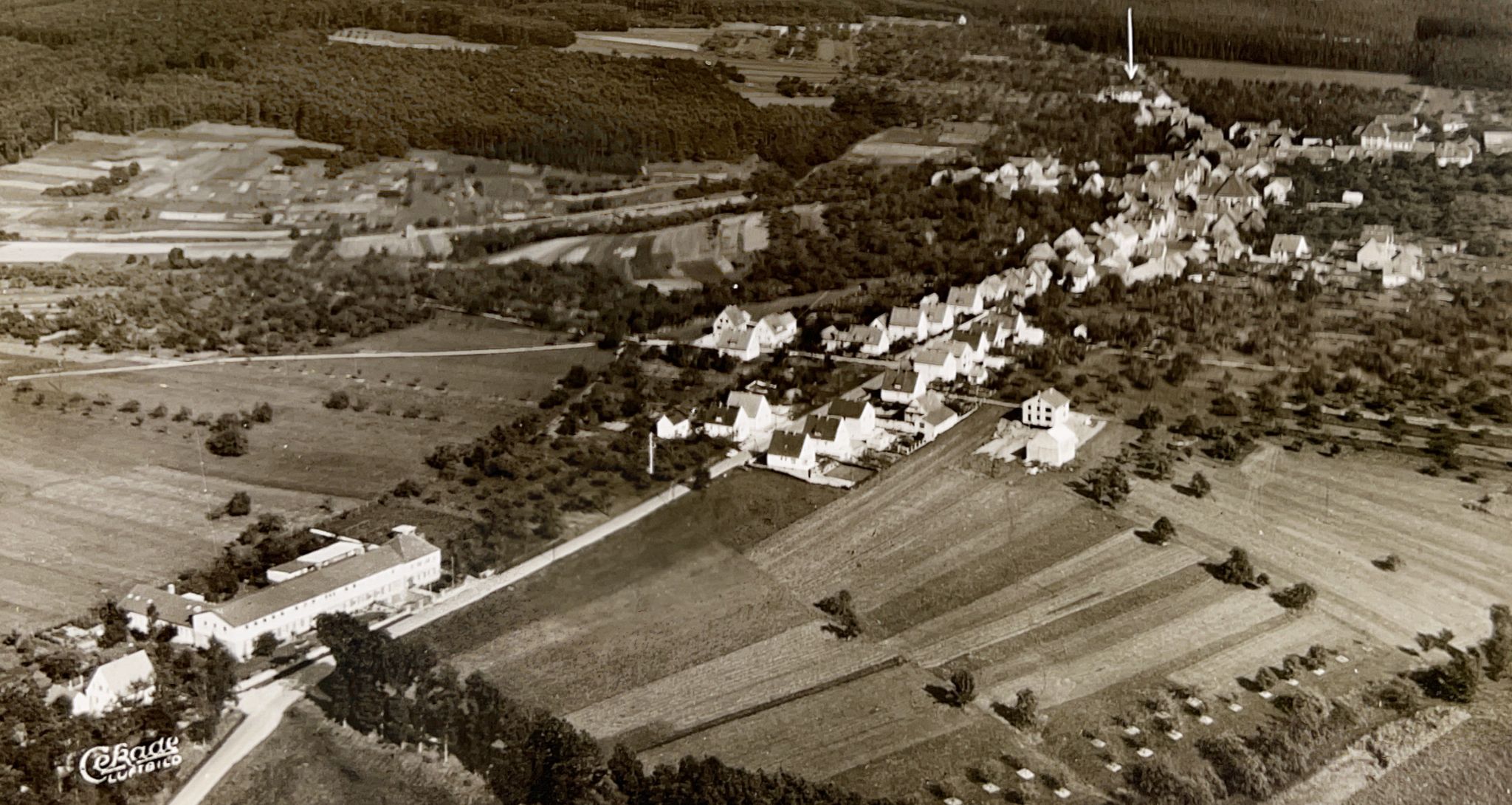 O L 0300 Luftbild