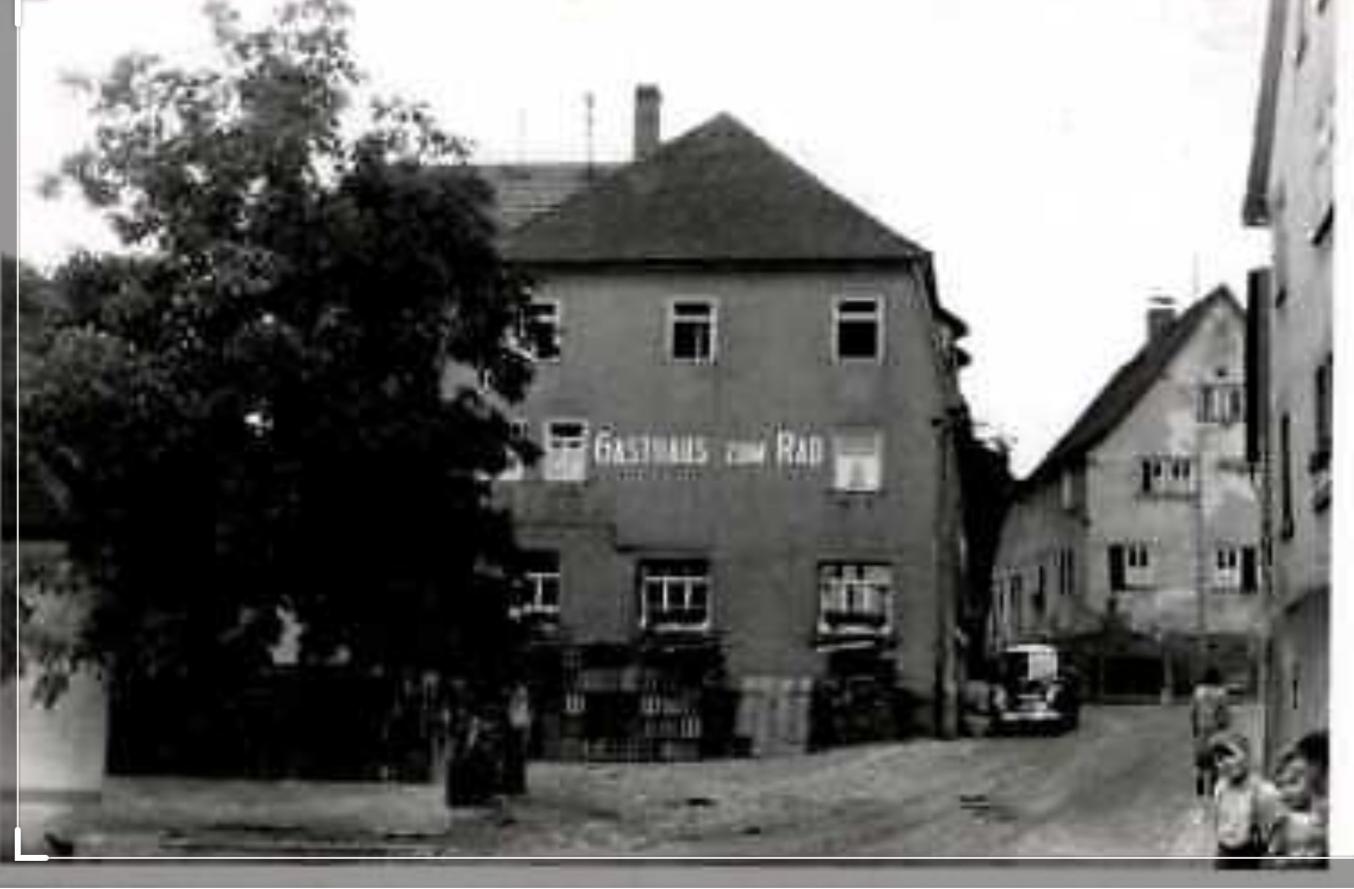 RadmitBaum