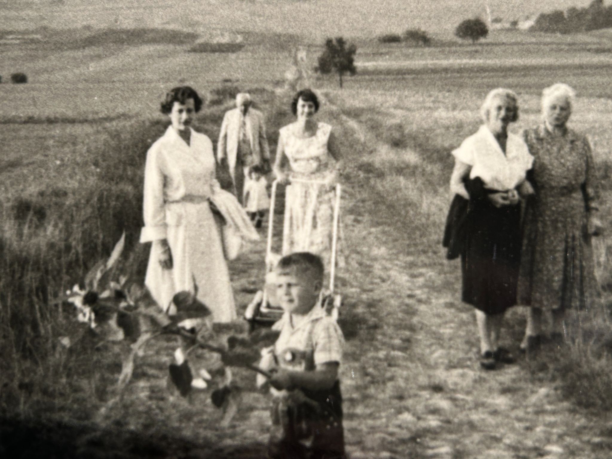 P K 0110 KornFamilie